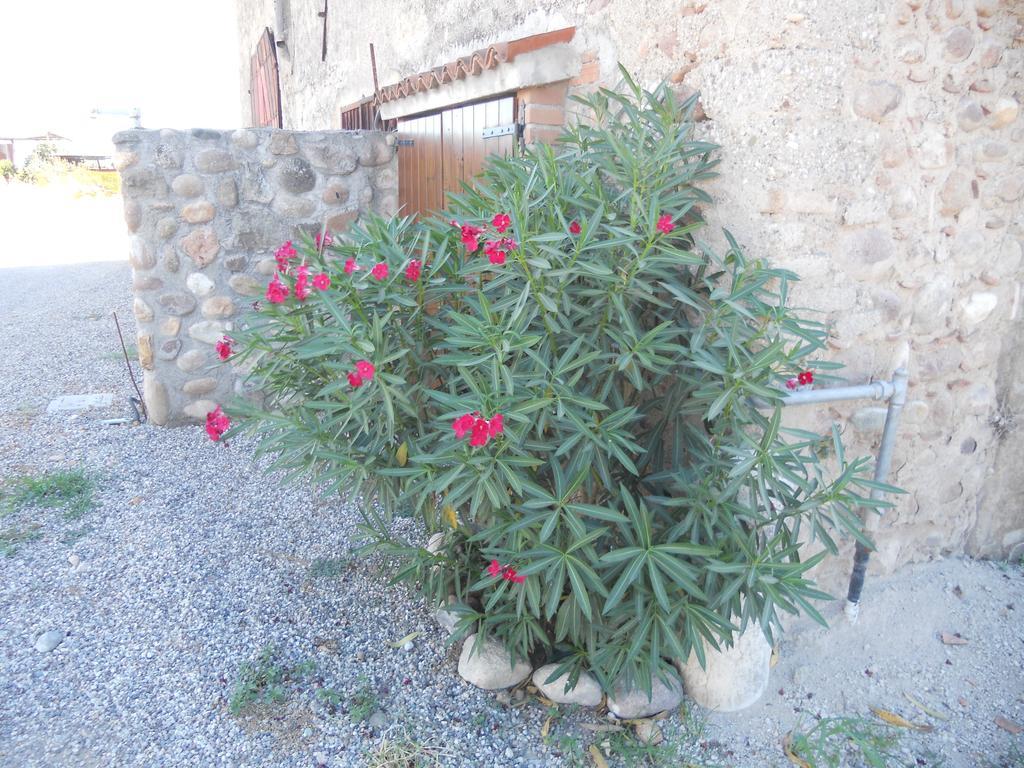 Agriturismo Le Mura Del Gherlo Villa Валеджо сул Минчио Екстериор снимка